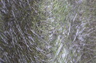 Landfordwood fibreglass roof work